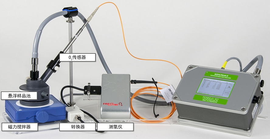 MINI-PAM-II-3 MINI-PAM-II-3