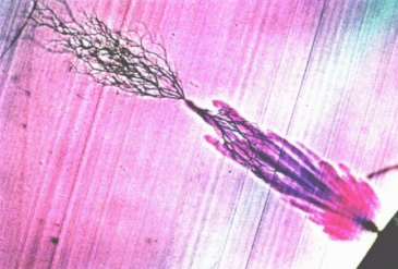 HVA45TD,<a href='http://m.bangwoyin.com/Ppzq/b2.html'>B2HV</a>