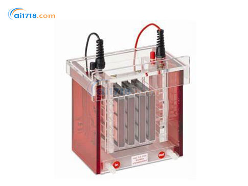 TANKBLOT ECO-MINI濕法轉(zhuǎn)印系統(tǒng)